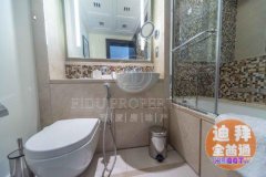 Dubai Mall �������ǹ�Ԣ����