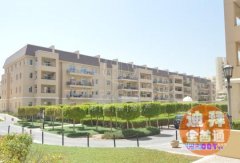 �ϰ�motor city�˶��� studio 4�����