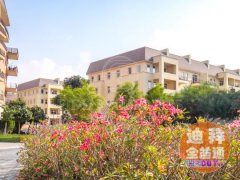 �ϰ�motor city�˶��� studio 4�����