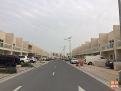 �����ͣ��ϰ��й���-���Ǳ�������145��