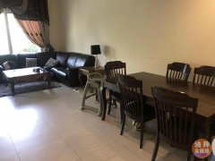 �����ͣ��ϰ��й���-���Ǳ�������145��