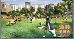 �ϰ�ɽׯ ��CBD