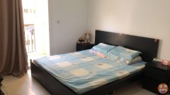 CBD 20 ���Զ���