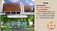 �ϰݷ��� �� �ϰ������ʹ����װ������Sobha Hartl