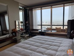 �ϰݷ��� �� ������׼�ַ� �����ɾƵ�͹�Ԣ Paramou