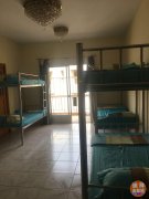 �й�������