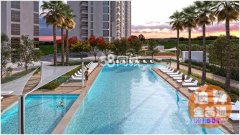 Dubai��װ�����ס ����