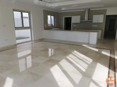 ���ϰݸ�������������1000���������������