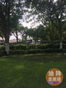 ��������һ���ķ�����ҵ�����ۣ�ֻ��250��