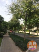 ��������һ���ķ�����ҵ�����ۣ�ֻ��250��