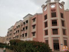 �ϰݹ��ʳ�CBD �÷�Դ�ͼ��������� �ܹ�42��