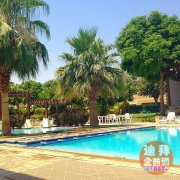 ���۹���ķ�����