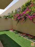 �ϰ� ���ʳ����Ǳ�������