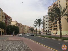 ���ʳ�CBD�������� ��������