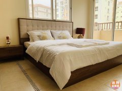 ��ѡ����