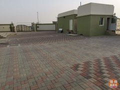 �ϰ� ���ʳǶ��� al warqa�������� �����¸�