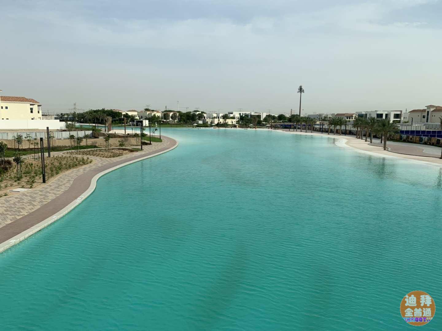 迪拜房产自住投资精品项目美丹水晶湖湖水干净到可以喝的程度 迪拜房产自住投资精品项目美丹水晶湖湖水干净到可以喝的程度