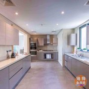 �ϰݷ�����ţѧ����ţ����ѧ�Ե�ҡ��