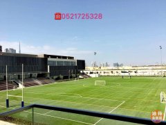 �ϰݷ�����ţѧ����ţ����ѧ�Ե�ҡ��