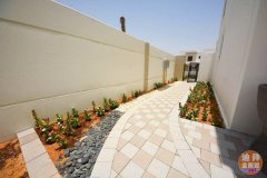 �ϰݷ���Town Square���������Ϳɳ�����չ������