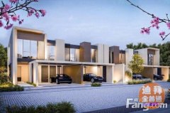 �ϰ�ʢ��ӣ�����ű�����ӣ��ʢ԰��������