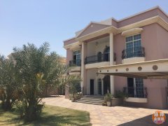 �ϰ������̳����� ��������������¸�