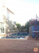 �ϰ������� �ƽ�ض� �߻ر���