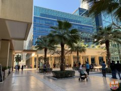 �ϰݷ��� �� �ϰ�������������� DAMAC Majesti