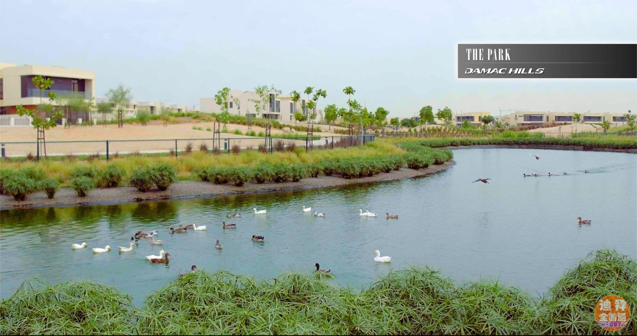 µÏ°Ý·¿²ú ¡ª µÏ°Ý´ïÂí¿Ëɽׯ DAMAC Hills£¬·ÒµÏ±ð µÏ°Ý·¿²ú ¡ª µÏ°Ý´ïÂí¿Ëɽׯ DAMAC Hills£¬·ÒµÏ±ð