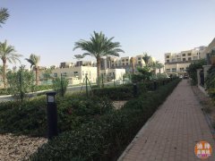 �ϰ� ���ʳ����Ǳ������� �����г���137��