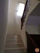 ������� ��������ɽׯAl Reem 3 ����+��ķ�� 25