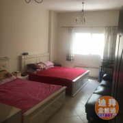 CBD15һ��һ�����׳���