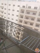 ���� ���ʳ�CBD һ��һ�� 40�� �ʺ�С����Ͷ�� ���Ҿ�