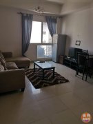 ���� ���ʳ�CBD һ��һ�� 40�� �ʺ�С����Ͷ�� ���Ҿ�