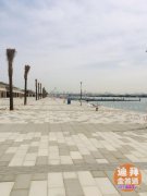 �ϰ�DEIRA����������������: