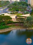 �ϰ�The Greens��Ԣ ���׷�Դ���� �����ߵ�д��¥