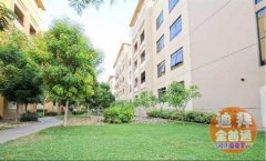 �ϰ�The Greens��Ԣ ���׷�Դ���� �����ߵ�д��¥