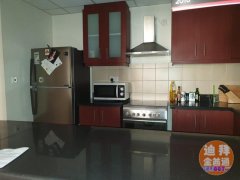 �ϰ������� ɳ̲ ����һ������