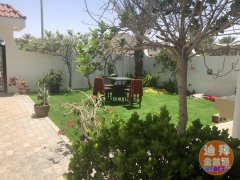 �ϰ�jumeirah beach ������ ������Ԣ����