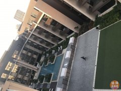 �ϰݷ��� �� Belrgavia Square | JVC 