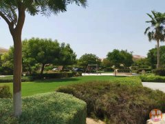 ����**�ܻ�ӭ������**�𱬵ĸ��Լ۱ȷ���Ͷ����Ŀ�Ƽ��� ��