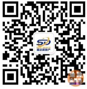 ���������ز���������SHEIKH ZAYED���ҹ�Ԣ�ʹ�С��