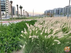 µÏ°Ý·¿²ú ¡ª EmaarµÏ°ÝɽׯDubai Hills£¬¸ß¶û µÏ°Ý·¿²ú ¡ª EmaarµÏ°ÝɽׯDubai Hills£¬¸ß¶û