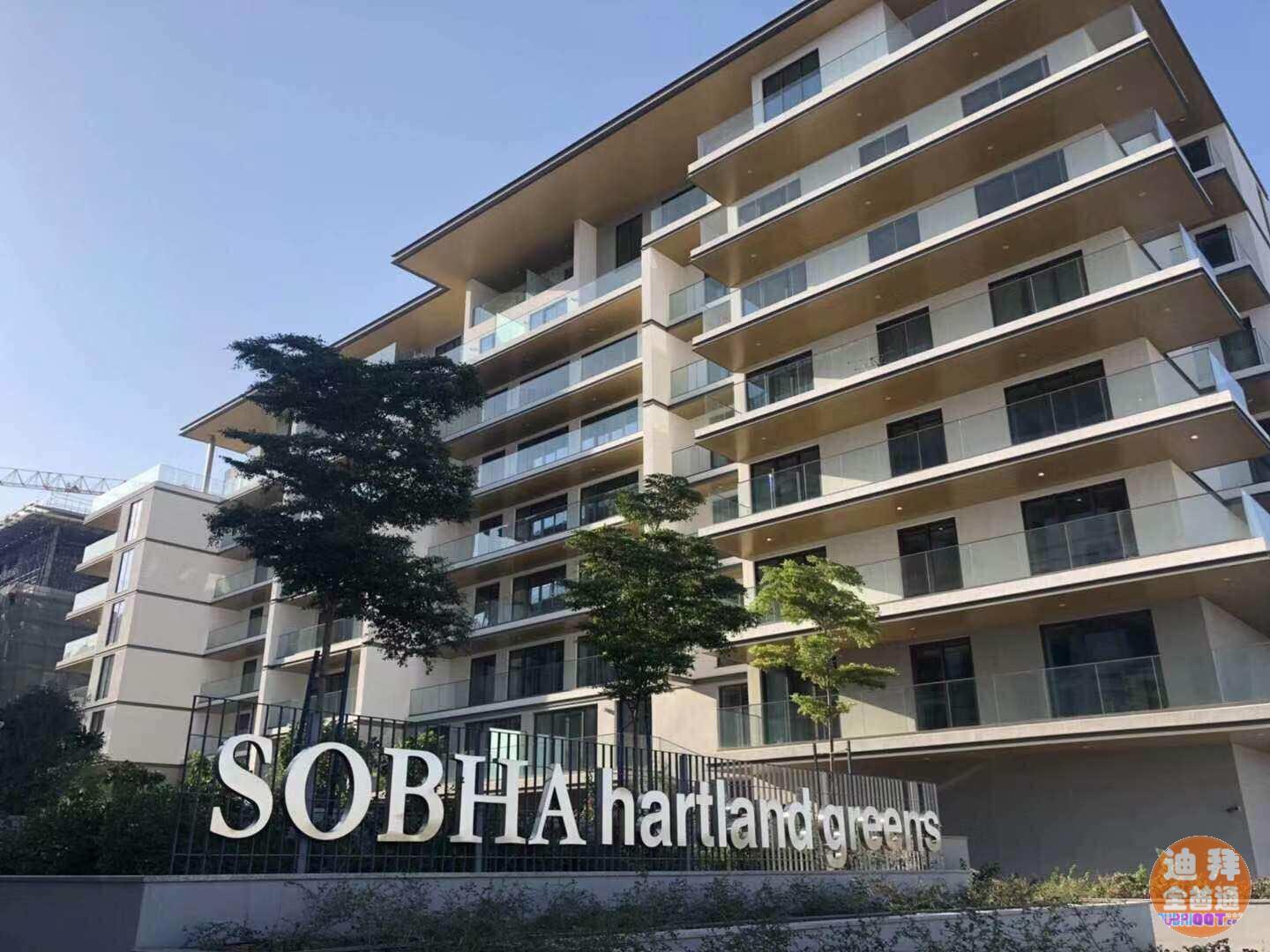 迪拜市中心 市中心学区房 买房有优惠哟 迪拜市中心 市中心学区房 买房有优惠哟