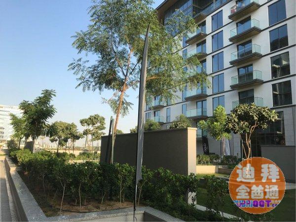 µÏ°ÝÖÃÒµ£ºÊ×°ÔÐÄÁìµØ Sobha Hartland ×¼ÏÖ·¿ µÏ°ÝÖÃÒµ£ºÊ×°ÔÐÄÁìµØ Sobha Hartland ×¼ÏÖ·¿