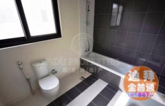 �߶����������±��� 225�����