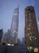 �ϰ����񿪷��� DCC��ó�� MBL��Ŀ