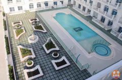 �ϰݷ���Ͷ�� 49�����ķ��