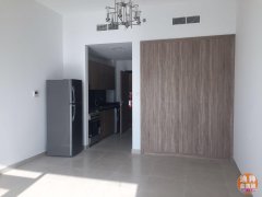 迪拜国际城全新的高档studio 出租 迪拜国际城全新的高档studio 出租