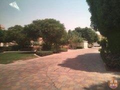 �ϰݸ߶�С���� ʵ�ؿ������巿 ��ʵ������